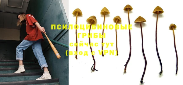 прущие крисы Бугульма