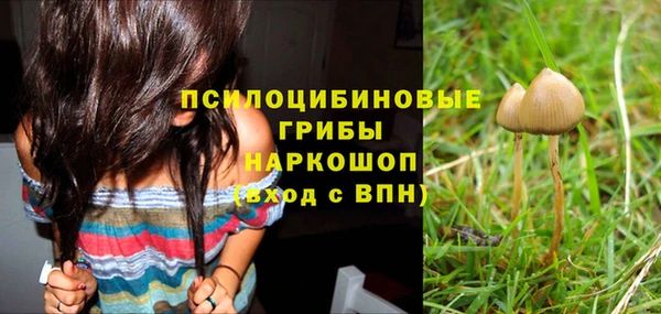 прущие крисы Бугульма