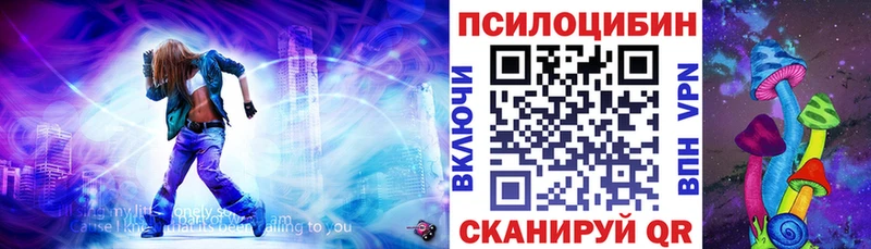 Галлюциногенные грибы мухоморы как найти закладки Александровское